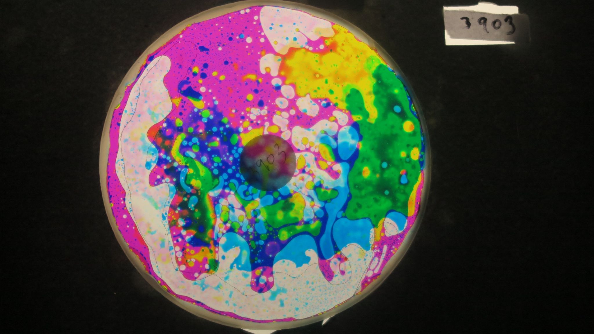 BV3903 bubble vision oil wheel1